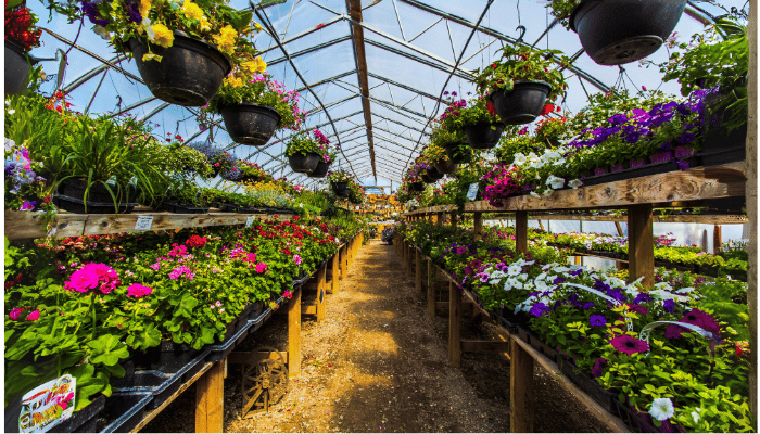 عکاسی صنعتی در صنعت پرورش گل و گیاه